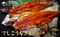 [秋月]でしこうなぎ蒲焼き 約150g×2尾|京都 うなぎ 人気セット [ 養鰻125年の伝統 でしこうなぎ 鰻 炭火 手焼き 贅沢 グルメ おすすめ ギフト プレゼント 贈答 お取り寄せ 通販 送料無料 ]