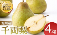 【先行予約】旭川産千両梨4kg(2026年10月中旬発送開始予定) 【果物 くだもの フルーツ なし 梨 ナシ 千両梨 pear PEAR みずみずしい 北海道 旭川市 】_05721