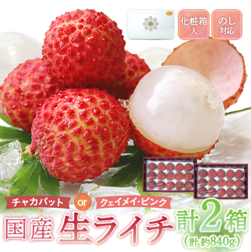 【先行予約/数量限定】希少 国産 綾生ライチ 2箱セット（化粧箱入り）  宮崎県 綾町産 ライチ 贈答 ギフト プレゼント お中元【JA綾町】_A0114-237 2665770 - 宮崎県綾町
