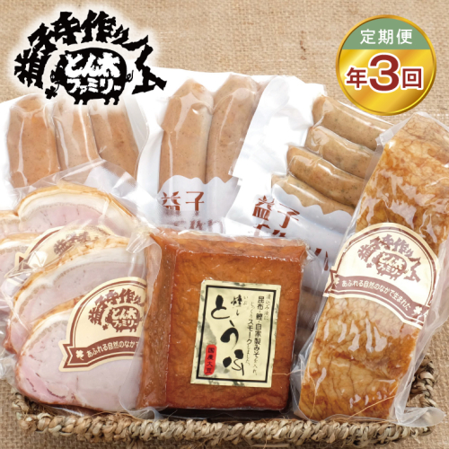 【定期便】益子の手づくりBBQセット年3回(3月・6月・9月)|栃木県 益子町 ふるさと納税 BBQ セット ベーコンブロック フランクフルト ウインナー（AF033） 2665870 - 栃木県益子町