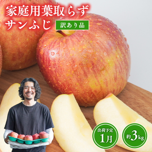 1月 葉取らずサンふじ 約3kg 訳あり 家庭用【青森県 平川市 森山商店 】 青森りんご 林檎 リンゴ サンふじ ふじ 葉とらず 訳あり 訳アリ 家庭用 平川市 青森県  2665890 - 青森県平川市