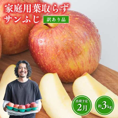2月 葉取らずサンふじ 約3kg 訳あり 家庭用【青森県 平川市 森山商店 】 青森りんご 林檎 リンゴ サンふじ ふじ 葉とらず 訳あり 訳アリ 家庭用 平川市 青森県  2665891 - 青森県平川市