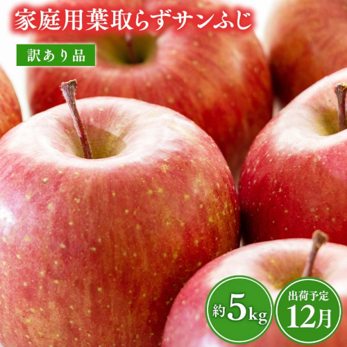 12月 葉取らずサンふじ 約5kg 訳あり 家庭用【青森県 平川市 森山商店 】 青森りんご 林檎 リンゴ サンふじ ふじ 葉とらず 訳あり 訳アリ 家庭用 平川市 青森県  2665893 - 青森県平川市