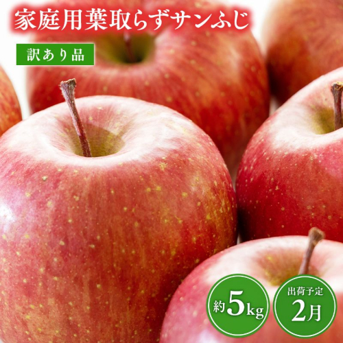 2月 葉取らずサンふじ 約5kg 訳あり 家庭用【青森県 平川市 森山商店 】 青森りんご 林檎 リンゴ サンふじ ふじ 葉とらず 訳あり 訳アリ 家庭用 平川市 青森県  2665895 - 青森県平川市