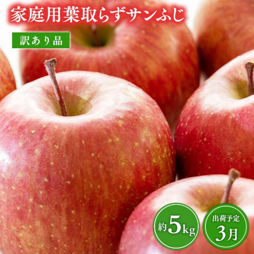 3月 葉取らずサンふじ 約5kg 訳あり 家庭用【青森県 平川市 森山商店 】 青森りんご 林檎 リンゴ サンふじ ふじ 葉とらず 訳あり 訳アリ 家庭用 平川市 青森県  2665896 - 青森県平川市