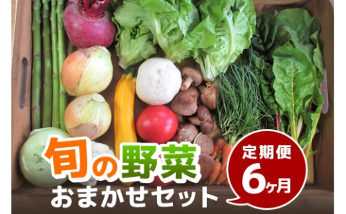 [No.5895-0455]旬の野菜・定期便（6か月）【配達不可：北海道・沖縄・離島】 2665939 - 広島県安芸高田市