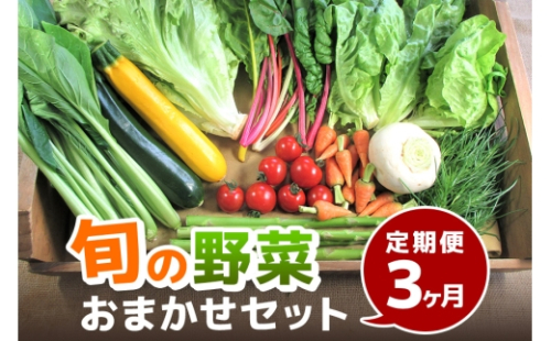 [No.5895-0456]旬の野菜・定期便（3か月）【配達不可：北海道・沖縄・離島】 2665940 - 広島県安芸高田市