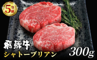 【9月発送】 飛騨牛 最高5等級 シャトーブリアン ステーキ用 300g(150g×2枚) 牛肉 和牛 肉 ステーキ ヒレ フィレ 最高級部位 赤身 肉 牛 牛肉 鉄板焼き お祝い 贈答 ギフト 贈り物 ふるさと納税 東白川村 岐阜 贅沢 霜降り 養老ミート