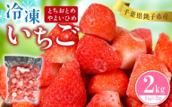 冷凍いちご 2kg ( 1kg × 2袋 ) とちおとめ やよいひめ 銚子 苺 いちご 真空パック 冷凍 フルーツ ジャム いちごジャム ストロベリー スムージー アサイー ゼリー ケーキ いちご大福 フルーツサンド ショートケーキ ふるさと納税 ふるさと納税いちご strawberry 新鮮 朝摘み 朝採り 産直 産地直送 ギフト ichigo itigo 送料無料 千葉県 銚子市 神原いちご園