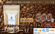 マンデリン(100g×3袋)×1セット