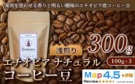 エチオピア ナチュラル(100g×3袋)×1セット