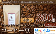 ジャマイカ ブルーマウンテンNo.1 (100g×3袋)×1セット