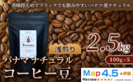 パナマ（100g×5袋）×5セット