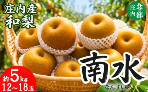 【令和8年産】食の都庄内　庄内産和梨【南水】約5kg　※令和8年9月中旬～10月下旬配送 2666444 - 山形県三川町