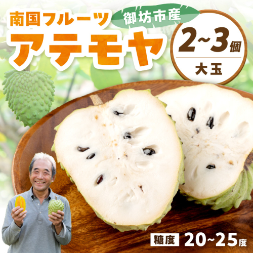 御坊市産　南国フルーツ　アテモヤ2～3個大玉（1kg程度）≪先行予約≫2026年10月中旬頃から順次発送予定 2666554 - 和歌山県御坊市