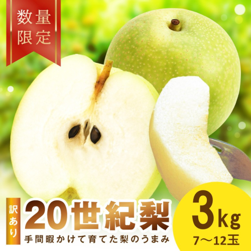 【先行予約／数量限定100】訳あり 廿世紀梨 3kg（2026年9月上旬～発送）　フルーツ くだもの 国産 梨 二十世紀 20世紀 廿世紀 ふるさと 納税 梨 ふるさと納税 フルーツ ふるさと 納税 20世紀梨 わけあり ワケアリ 訳有り 2666655 - 京都府京丹後市