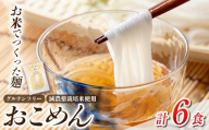 a1101-A おこめん(中麺) 1食100g(計6食)【アグリベースAIRA】姶良市 麺 お米麺 グリテンフリー