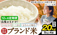 【12ヶ月定期便】米 南関町 単一原料米 (ひのひかりorにこまるorくまさんの輝き)  白米 20kg《お申込み翌月から出荷》熊本県産 国産 白米 こめ コメ 20キロ
