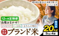 [12ヶ月定期便]米 南関町 単一原料米 (ひのひかりorにこまるorくまさんの輝き) 無洗米 20kg[お申込み翌月から出荷]熊本県産 国産 無洗米 こめ コメ 20キロ