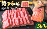 博多和牛 牛肉 焼肉 ロース 500g[豊前市][肉のくまもと屋] [VFD011] 牛肉 ぎゅうにく yakiniku 焼肉 やきにく 焼き肉 ヤキニク お肉 博多和牛 国産 焼き肉