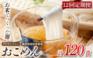 a1101-E 【12回定期便】おこめん(中麺) 1食100g(計120食 (10食×12回))【アグリベースAIRA】姶良市 麺 お米麺 グリテンフリー 定期便