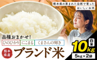 米 南関町 単一原料米 (ひのひかりorにこまるorくまさんの輝き) 白米 10kg[7-14日以内に出荷予定(土日祝除く)]熊本県産 国産 ひのひかり 白米 精米 こめ コメ 10キロ