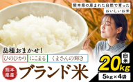 米 南関町 単一原料米 (ひのひかりorにこまるorくまさんの輝き) 白米 20kg[7-14日以内に出荷予定(土日祝除く)]熊本県産 国産 ひのひかり 白米 精米 こめ コメ 20キロ