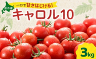 [先行予約:2026年9月上旬以降発送]余市町産丸型ミニトマト「キャロル10」 高糖度 北海道余市町 自根栽培 濃厚 甘い 野菜 返礼品 寒暖差 皮薄 ジューシー サラダ