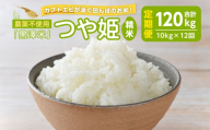 【12回定期便】農薬不使用 つや姫 精米 合計120kg(10kg×12回)＜カブトエビ田んぼで育てたお米＞ 黒澤米 宮城県登米市産 お米 おこめ 米 コメ 白米 ご飯 ごはん おにぎり お弁当 頒布会 【株式会社天体】tm454