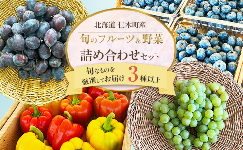 2026年7月下旬発送 ［ 旬のフルーツ＆野菜詰め合わせ 3種以上 ］【 ぶどう プルーン ブルーベリー パプリカ きゅうり なす ピーマン ミニトマト 野菜 果物 フルーツ 新鮮 北海道産 仁木町産 北海道野菜 】[株式会社NATICA] 2666955 - 北海道仁木町