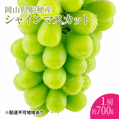 ぶどう 2026年 先行予約 【プレミアムシャインマスカット 晴王 1房 約700g】 赤秀品以上  岡山県船穂産 葡萄 ブドウ ギフト ハレノフルーツ 皮ごと食べる みずみずしい 2666963 - 岡山県高梁市