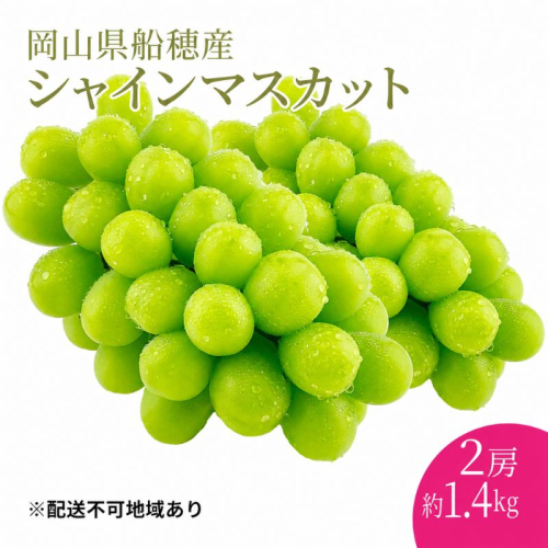 ぶどう 2026年 先行予約 【プレミアムシャインマスカット 晴王 2房 合計約1.4kg】 赤秀品以上  岡山県船穂産 葡萄 ブドウ ギフト ハレノフルーツ 皮ごと食べる みずみずしい 2666964 - 岡山県高梁市