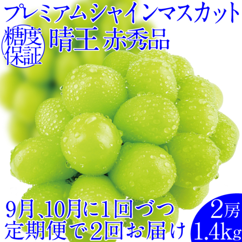 ぶどう 2026年 先行予約【2回定期便】 プレミアムシャインマスカット 晴王 2房 約1.4kg 人気 岡山県船穂産 赤秀品 種無し 皮ごと食べる みずみずしい9月10月お届け ハレノフルーツ 2666966 - 岡山県高梁市