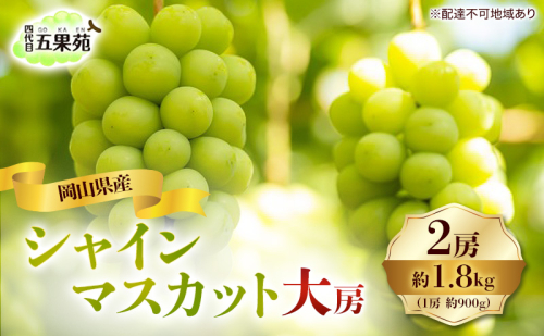 ぶどう 2026年 先行予約 シャイン マスカット 2房 合計1.8kg（1房 約900g）大房 岡山県産 四代目 五果苑 果物類 フルーツ 糖度20度 甘い 種なし 皮ごと 詰め合わせ 2667026 - 岡山県玉野市