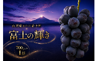 [2026年発送]先行予約 富士の輝き 富士の輝 ブラックシャインマスカット 1房 700g以上 山梨県産 希少 高級 黒系ぶどう 贈答 [山梨県笛吹市 産地直送]ぶどう フルーツ 果物 209-012-26y