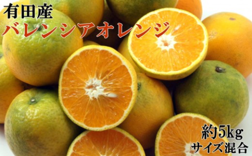 ［国産］有田産バレンシアオレンジ 約5kg（サイズ混合 秀・優品規格）★2026年7月中旬ごろより発送 2667297 - 和歌山県有田川町