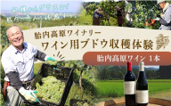 胎内高原ワイナリー ワイン用ブドウ収穫体験【ワイン1本付き】