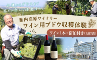 胎内高原ワイナリー ワイン用ブドウ収穫体験【ワイン1本＋宿泊付き（1泊2食）】