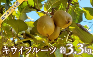 [2026年度先行予約]キウイフルーツ 3.3kg ALPAJ070 | 令和8年度発送 くだもの 果物 ヘイワード キウイ フルーツ グリーンキウイ 農家直送 直送 ギフト 贈答 プレゼント 南アルプス市 山梨