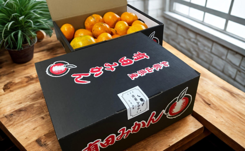 【訳あり】有田みかん 約10kg 家庭用 2667377 - 和歌山県有田川町