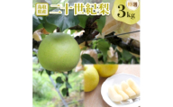 二十世紀梨 特選3kg【1733753】