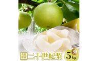 二十世紀梨 秀5kg【1733754】