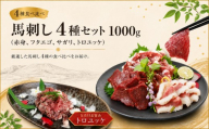 馬刺し 4種セット 1000g（赤身、フタエゴ、サガリ、トロユッケ） 馬刺しの長野屋 | 馬刺し 赤身 タレ付き 馬刺し 馬刺 長野 信州 馬肉 お肉 刺身 冷凍 真空パック 小分け 送料 無料 伊那 信州【019-25】