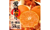 【2027年2月下旬頃から順次発送】愛果48号 秀～優品 約5.0kg  | 愛媛 愛媛県産みかん 蜜柑 ミカン mikan みかん あいか  柑橘 お取り寄せ グルメ 期間限定 数量限定 あまい 甘い 果物 旬  美味しい  愛媛県 松山市