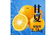 [2027年2月下旬頃から順次発送]甘夏 約2.5kg 松山 愛媛 | 愛媛 愛媛県産みかん 蜜柑 ミカン mikan みかん あまなつ 柑橘 お取り寄せ グルメ 期間限定 数量限定 果物 旬 愛媛県 松山市
