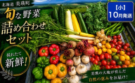 季節の野菜セット[小]10月発送 あらいふぁーむ | 野菜 セット 詰め合わせ 旬野菜 美瑛産野菜 無農薬 多品種野菜 北海道 美瑛 美瑛町 北海道産 美瑛産 10月[017-76]
