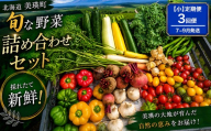 季節の野菜セット【小】定期便 3回便 7月 8月 9月発送 あらいふぁーむ | 野菜 セット 詰め合わせ 旬野菜 美瑛産野菜 無農薬 多品種野菜 北海道 美瑛 美瑛町 北海道産 美瑛産 7月 3回 3ヶ月 3ヵ月 3か月[051-19]