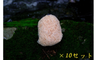 【大容量】森の恵みの芳香剤｜おがくずタイプ　(1ネット×10セット同梱)