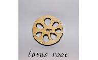 【1枚】森のコースター〈野菜の断面編〉 【lotus root(レンコン)】