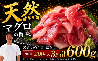 天然マグロ切り落とし 200g×3P│天然マグロ 切り落とし 刺身 マグロ丼 冷凍 高知県 ふるさと納税 キハダマグロ ビンチョウマグロ メバチマグロ 海鮮 お取り寄せ グルメ 時短 簡単調理 解凍するだけ 一口サイズ 手巻き寿司 具材 ユッケ カルパッチョ 漬け丼 おかず おつまみ ギフト 贈答 贅沢 人気 おすすめ 産地直送 新鮮 晩酌 魚介